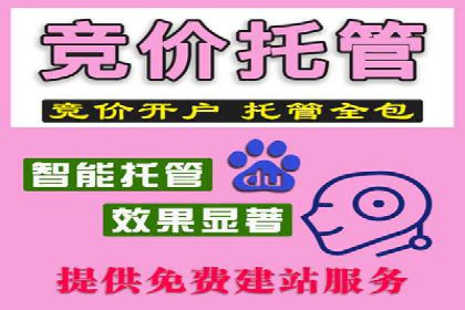 SEM优化策略：实战案例解析